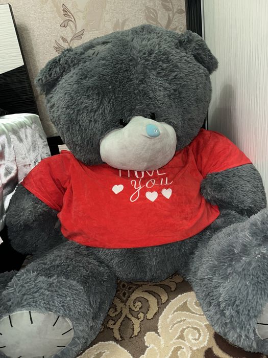 Teddy ayiq kottasi o