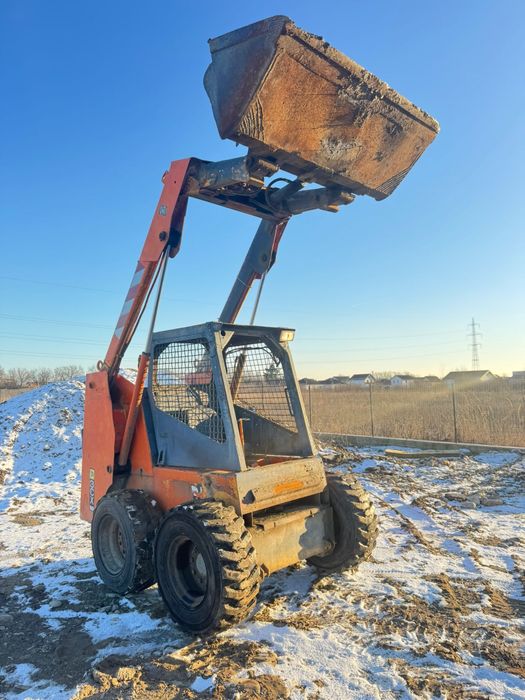 Mustang 3 tone perfecta stare