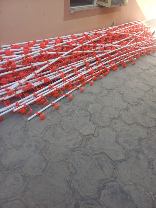 Непил пайилка сотилади