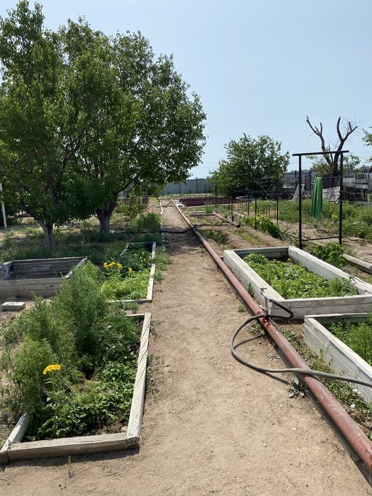 продам дачу зима лето на пригородном