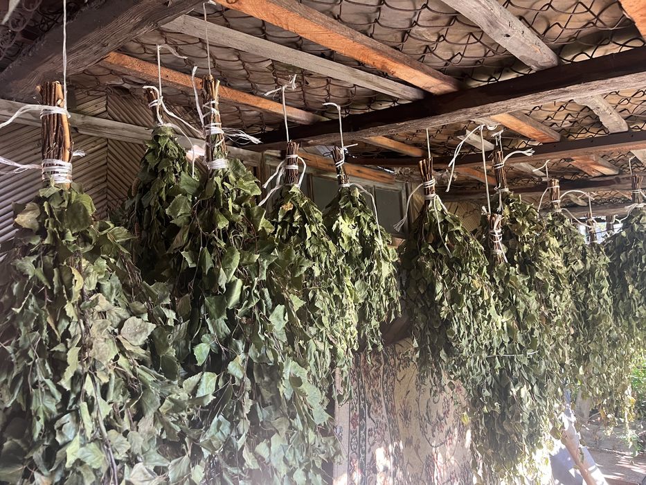 Веники для бани, береза