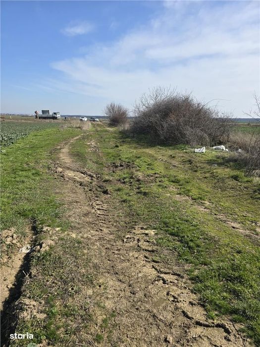 RECO Teren in Oradea