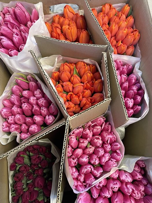 Тюльпаны 800 на как кск каибекова 373