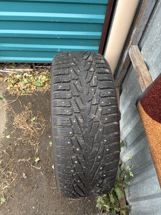 Шины Nokian Nordman 7