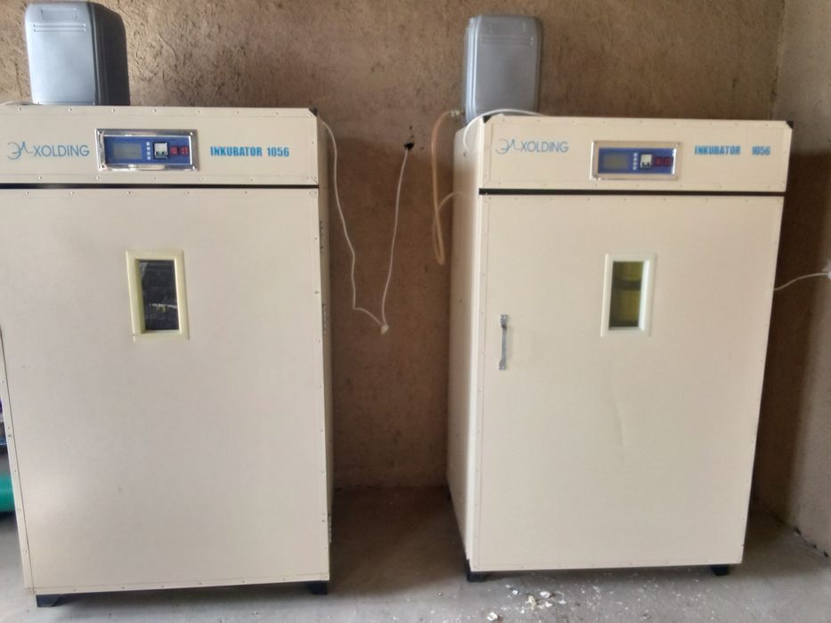 Инкубатор сотилади 1056 талик 2 та