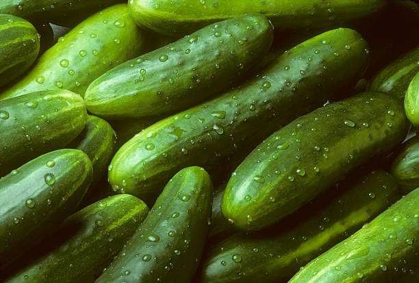 Продам дачные огурцы