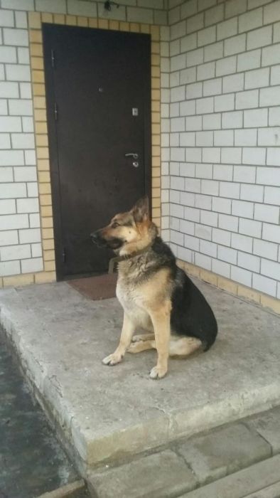 Ищем подругу ВЕО