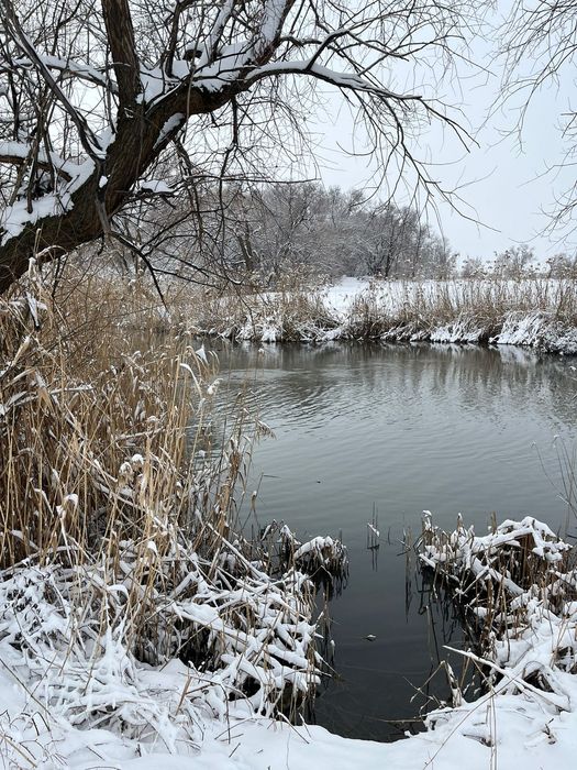 Продам озеро и кашар