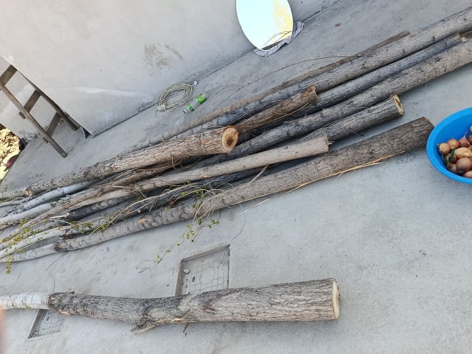 Тераклар сотилади