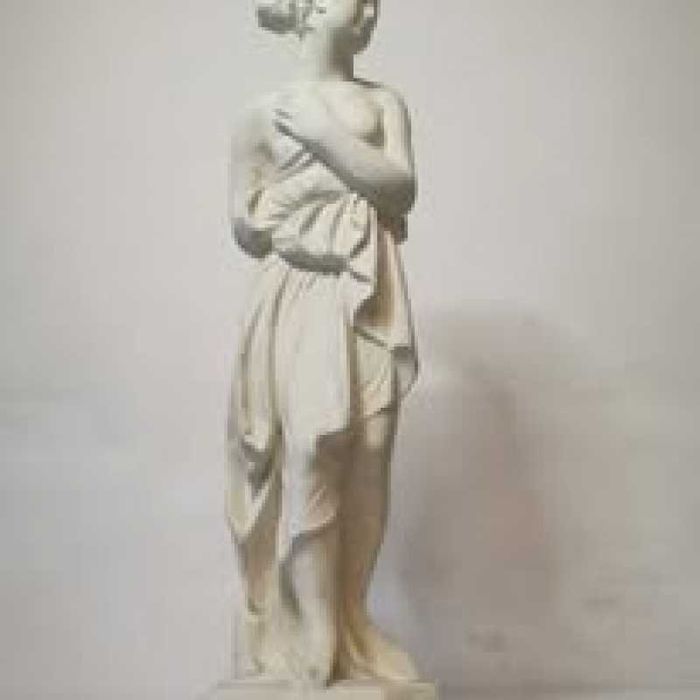 Statuie ipsos     ,
