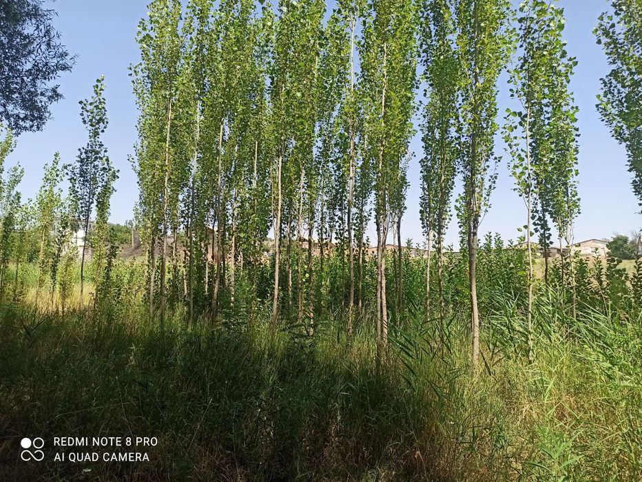 Продам землю в Кибрайском районе