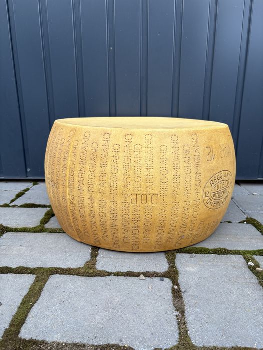 Reggiano Parmigiano Magazin Display Plastic Fals Brânză Parmesan 40,6 cm