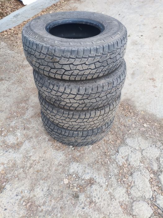 Triangle Agilex A/T 31 10.5 r15