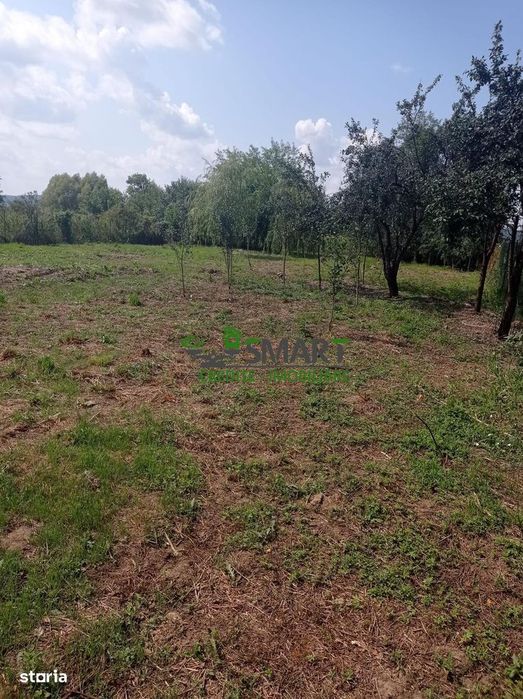 De vânzare – Casă cu teren generos, Coltirea
