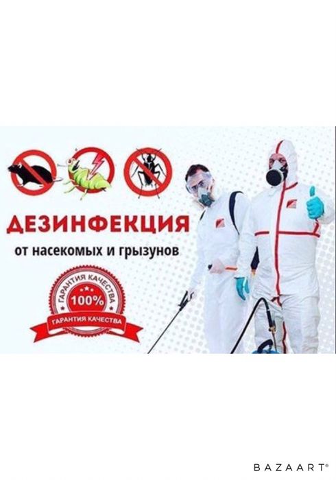 дезинфекция клопов в город лянтор. дезинфекция казахстан. дезинфекция актау. дезинфекция актау. дезинсекция костюм.