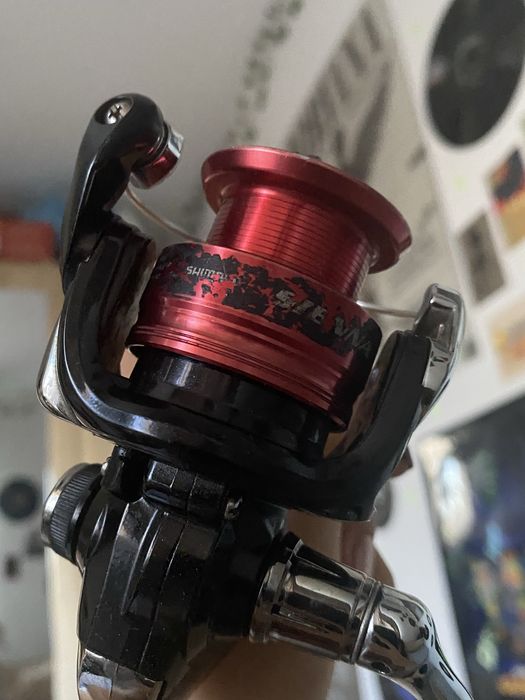 Mulineta Shimano