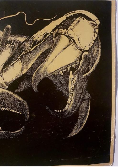 O lucrare rară de grafica semnată Nicolae Saftoiu, martie 1980. Tulcea