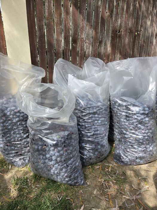 Vand prune 350kg