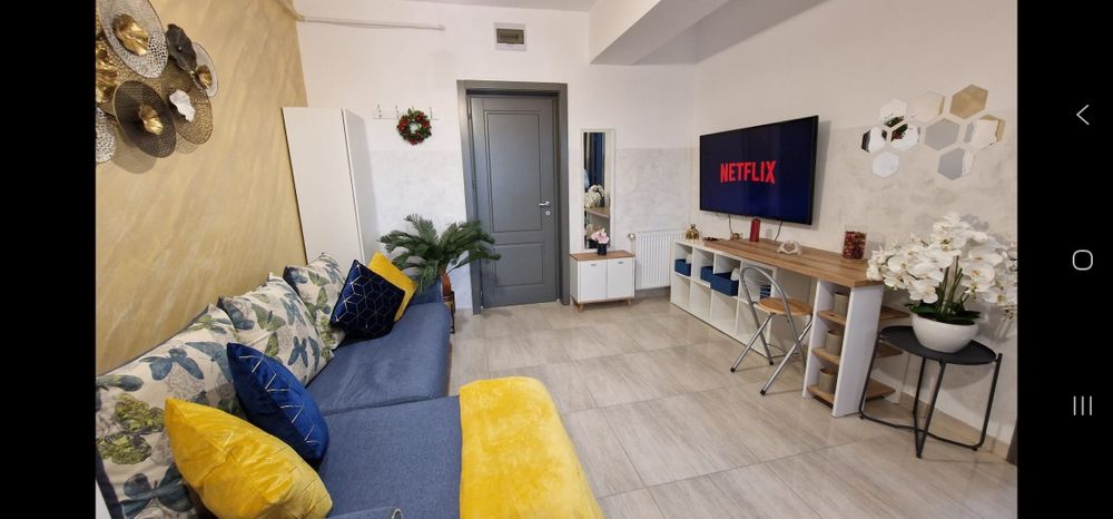 Cazare Apartamente 1-3 camere zona Palas Mall