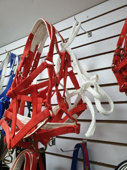 Ноқта жуген уздечка недоуздок