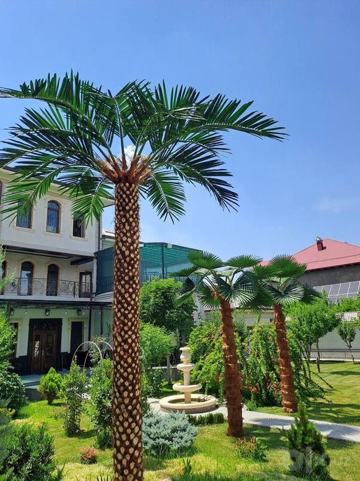 Navoiy | Hovli dizayni uchun suniy palma 3-8m skidka -33%
