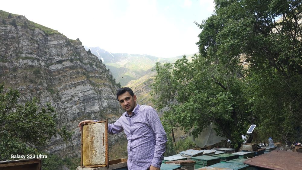 Haqiqiy togʻ asali. 100% Чистый горный мед 100%