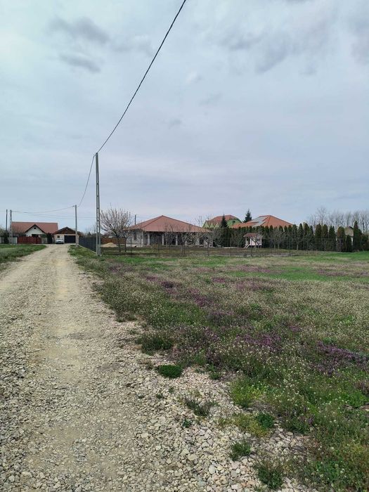 Teren intravilan Salonta. Parcele pentru case. Utilități