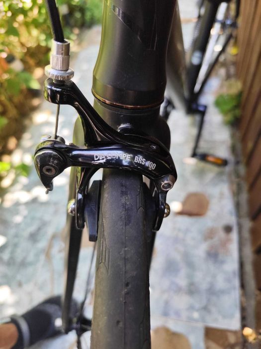 Bicicleta Aventon Mataro Fixie/Freewheel