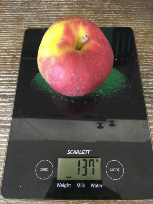 Продам саженцы яблони