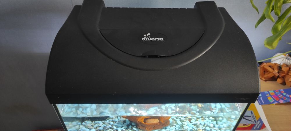 Аквариум diversa startup40 25 л.