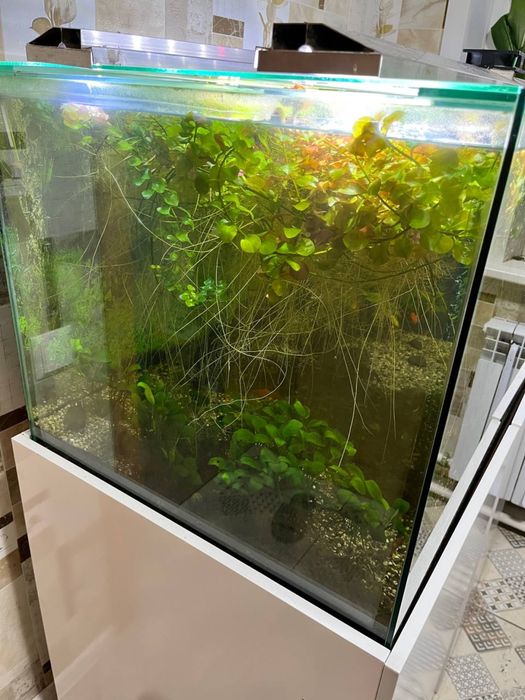 Аквариум с рыбками