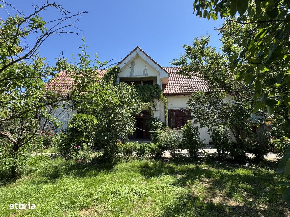 Vila P+M si Anexa cu garaj, T=1150 mp, D=28 m, Slatioara-zona centrala