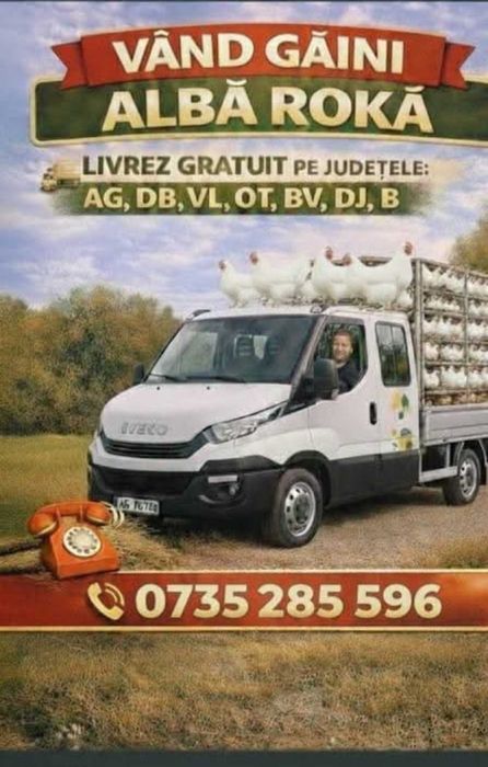 Vand gaini albe (roka )si rosi (brawn)