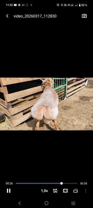 Продается кошкар линия бульдозера