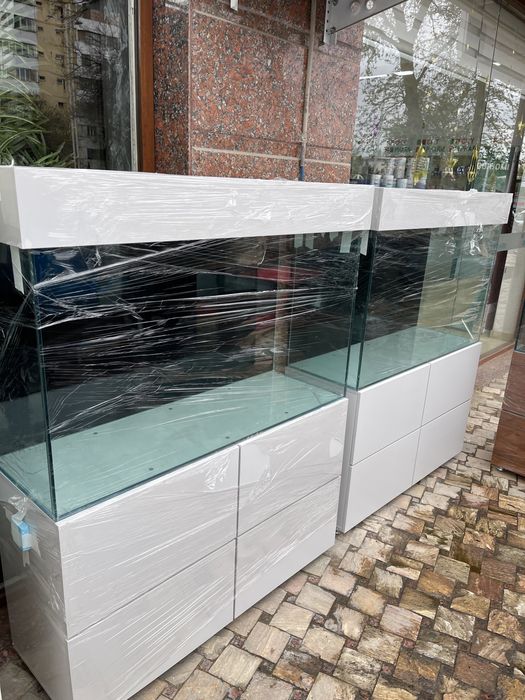 New Akvarium new Dizayn