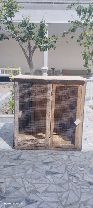 Товиқ ва жўжалар ун катаклар