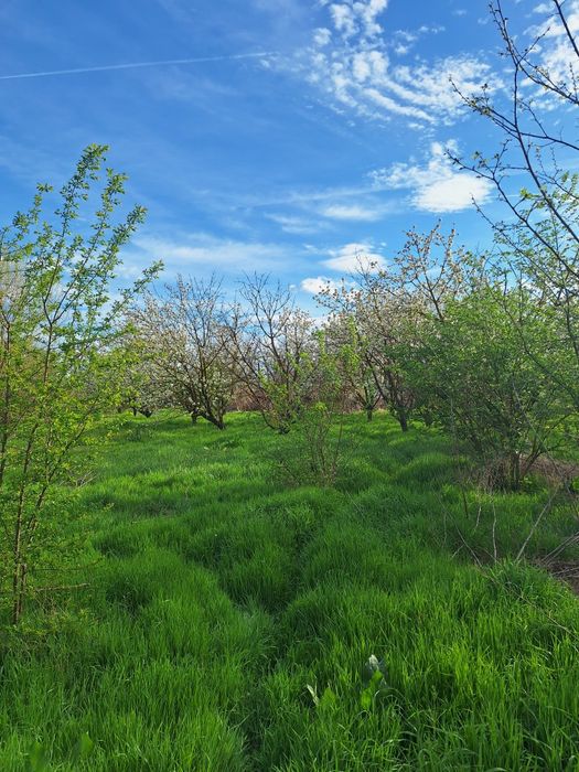 Продава се Земеделски имот в с. Дядово, Област Сливен -  кв.м за 3978 €/дка - Снимка #2