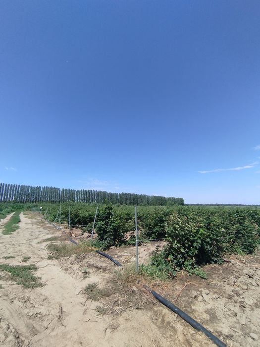 Продам землю К/Х