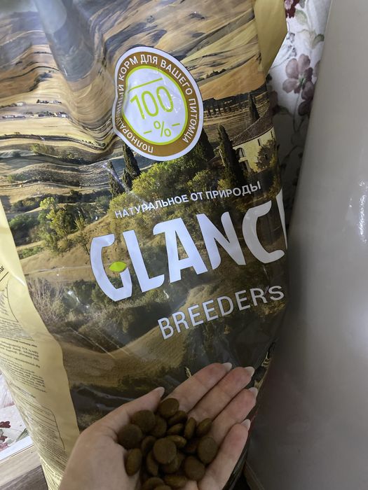 Корм для крупных собак