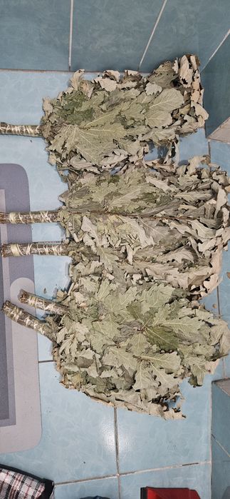 Дубовые веники для бани