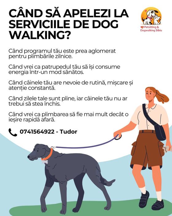 Vizite pisici la domiciliu si plimbare catei in Sibiu