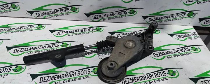 Intinzator curea accesorii Volkswagen VW Polo 2001 1.9 D MT (68 hp)