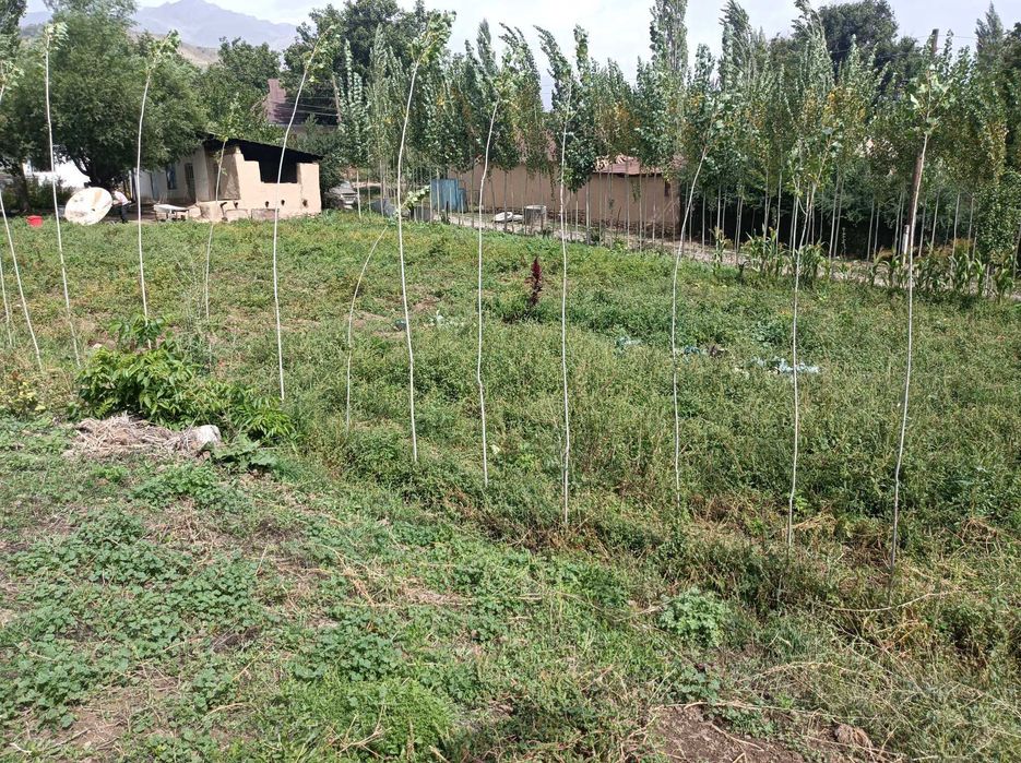 Srochna uchastka sotiladi  15sotix