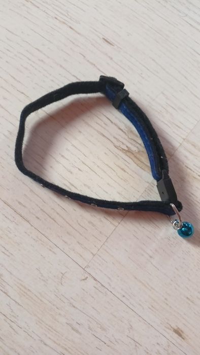 Zgarda pisică sau cățel