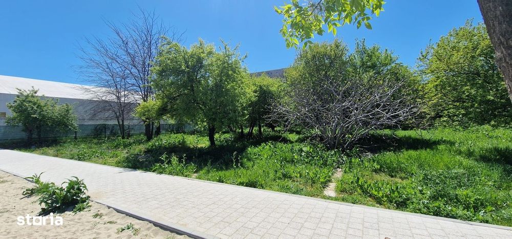 Teren ideal dezvoltare imobiliara.