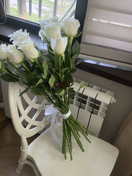 Прекрасные голандские розы