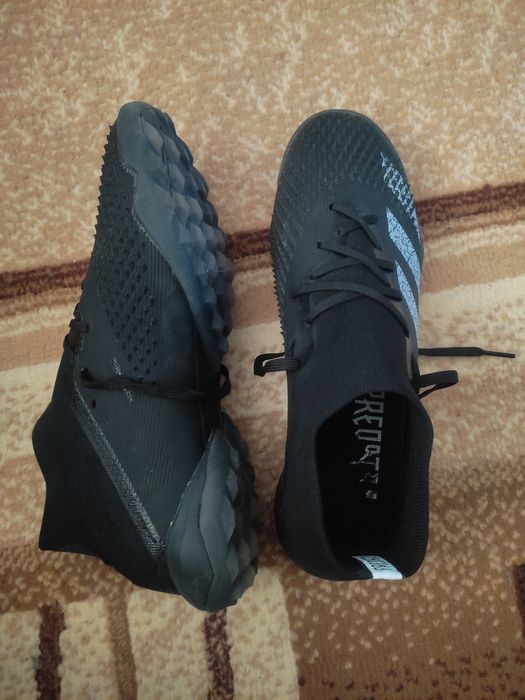 Сороконожки черные