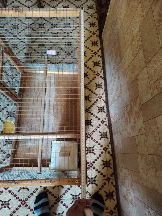 Qushlar uchun qafas sotiladi