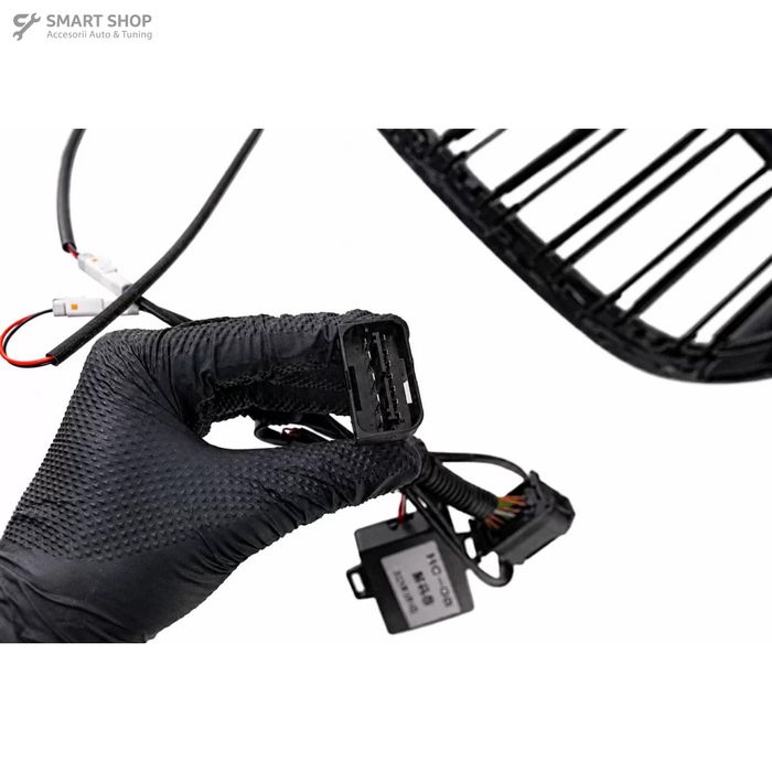 Grile Centrale Iluminate BMW Seria 7 G11 G12 (2015-02.2019)