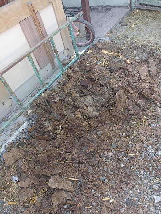 Продам навоз овечий.